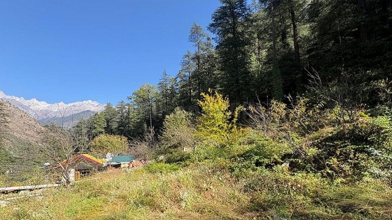 ₹2.25 Cr | 6534 sq.ft. commerical land for sale in kasol kullu-manali