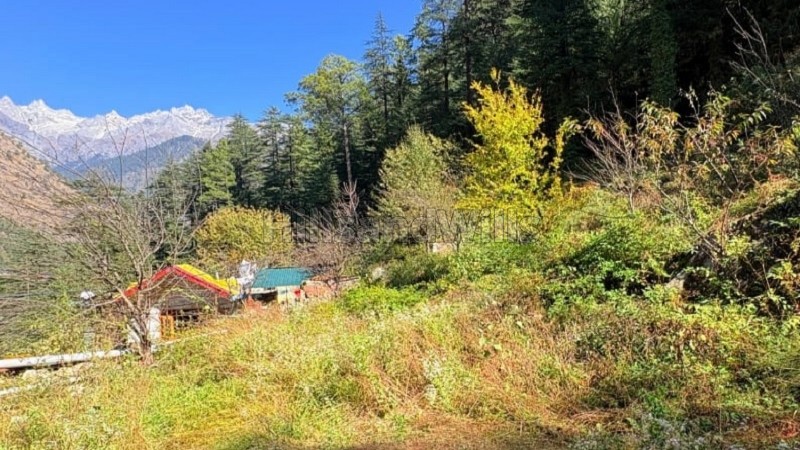 ₹2.25 Cr | 6534 sq.ft. commerical land for sale in kasol kullu-manali