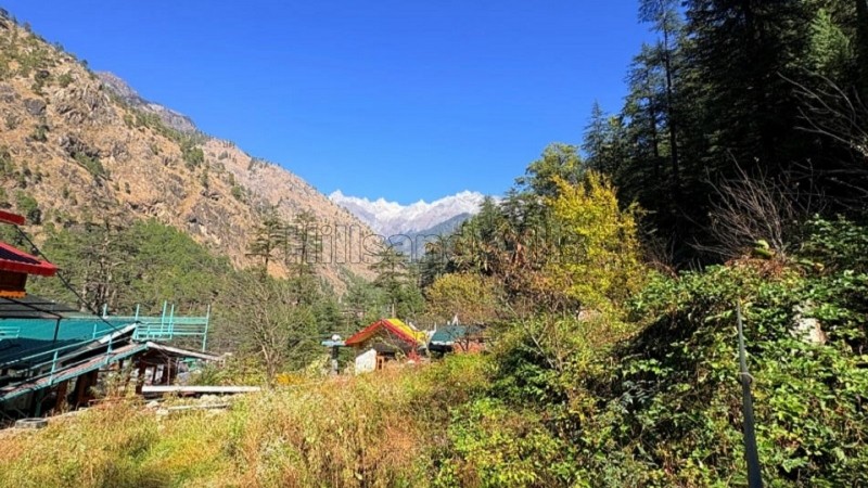 ₹2.25 Cr | 6534 sq.ft. commerical land for sale in kasol kullu-manali