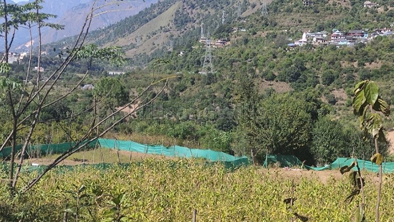 ₹40 Lac&nbsp;|&nbsp;8712 sq.ft. agriculture land for sale  in aut kullu-manali