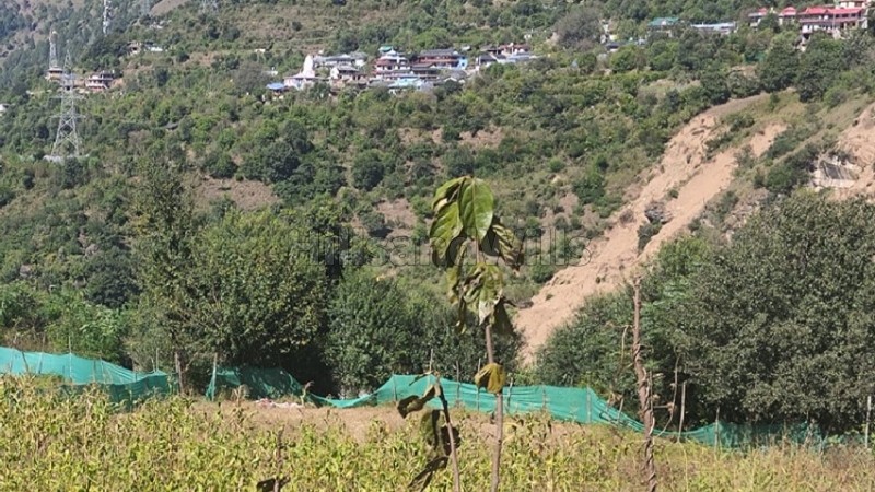 ₹40 Lac&nbsp;|&nbsp;8712 sq.ft. agriculture land for sale  in aut kullu-manali