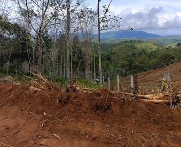 1 acres rubber estate for sale  in mananthavady wayanad
