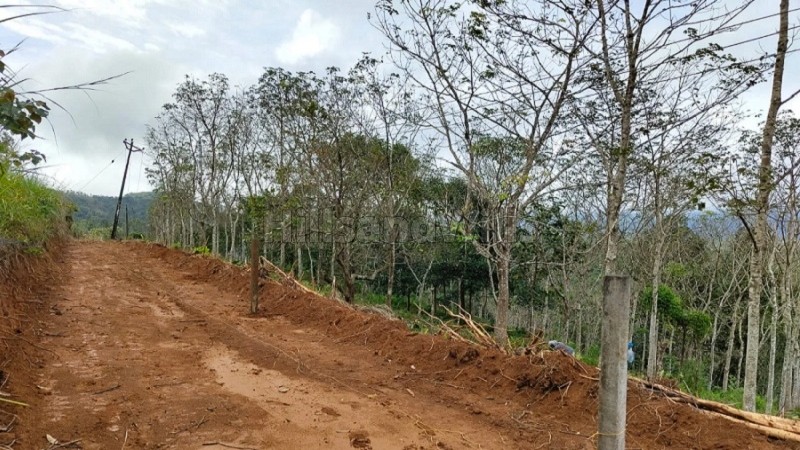 ₹40 Lac&nbsp;|&nbsp;1 acres rubber estate for sale  in mananthavady wayanad