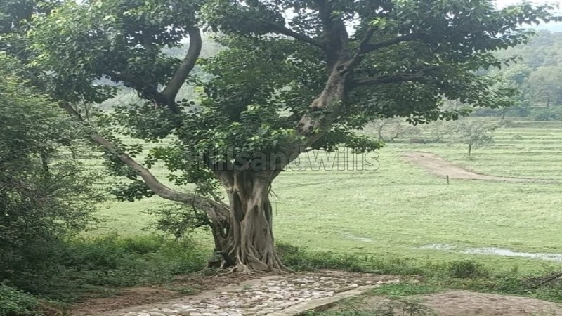 ₹1.84 Cr&nbsp;|&nbsp;4.12 kanal agriculture land for sale  in gharoh, dharamshala himachal pradesh