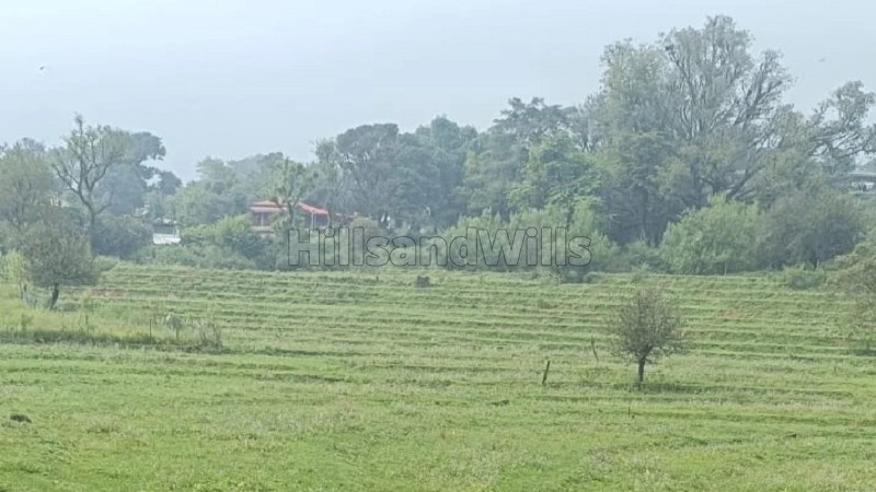 ₹1.84 Cr&nbsp;|&nbsp;4.12 kanal agriculture land for sale  in gharoh, dharamshala himachal pradesh
