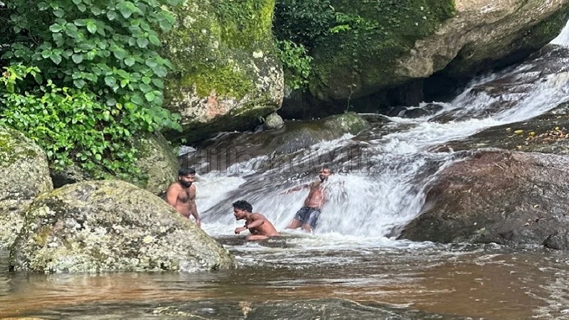 ₹16 Lac&nbsp;|&nbsp;14 cents  gated community plot with private waterfalls for sale  in marayoor, idukki