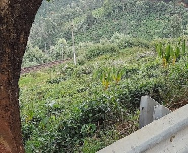 30 cents agriculture land for sale  in selas coonoor
