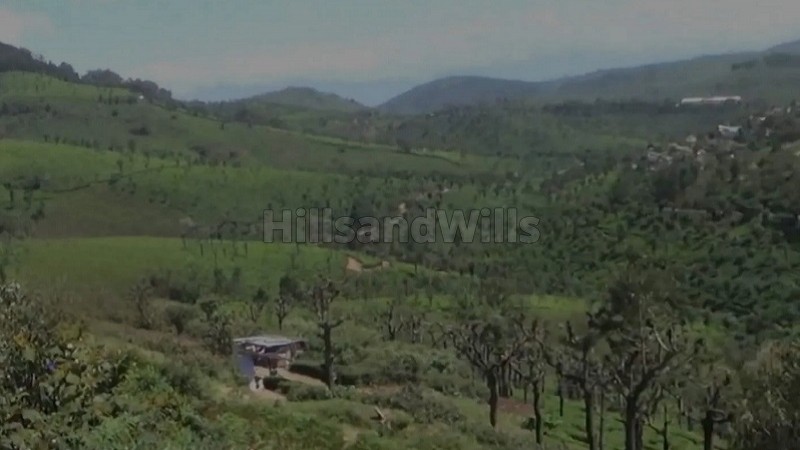 ₹80 Lac | 30 cents agriculture land for sale in selas coonoor