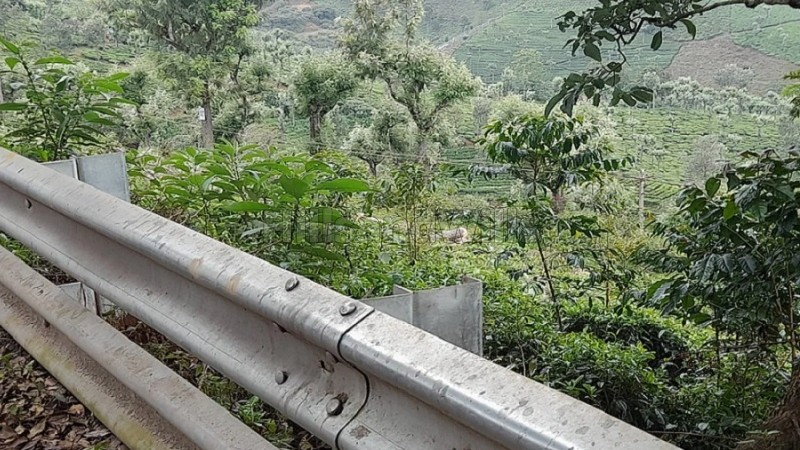 ₹80 Lac | 30 cents agriculture land for sale in selas coonoor