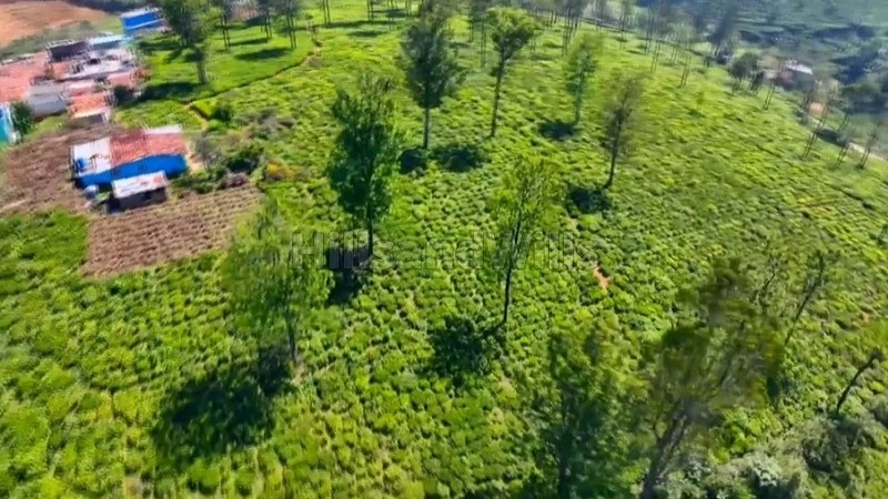₹18.50 Cr&nbsp;|&nbsp;10 acres agriculture land for sale  in ketty coonoor