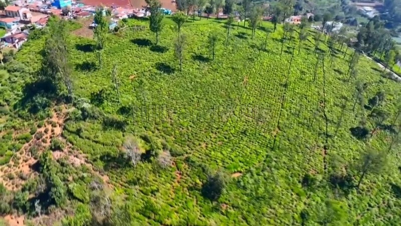 ₹18.50 Cr&nbsp;|&nbsp;10 acres agriculture land for sale  in ketty coonoor