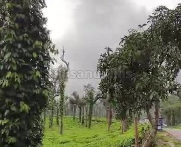 5.5 acres commerical land for sale  in poopara munnar