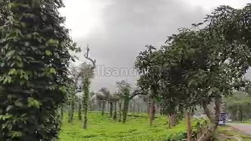 ₹4.95 Cr&nbsp;|&nbsp;5.5 acres commerical land for sale  in poopara munnar