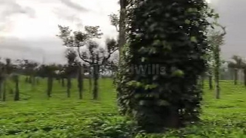 ₹4.95 Cr&nbsp;|&nbsp;5.5 acres commerical land for sale  in poopara munnar