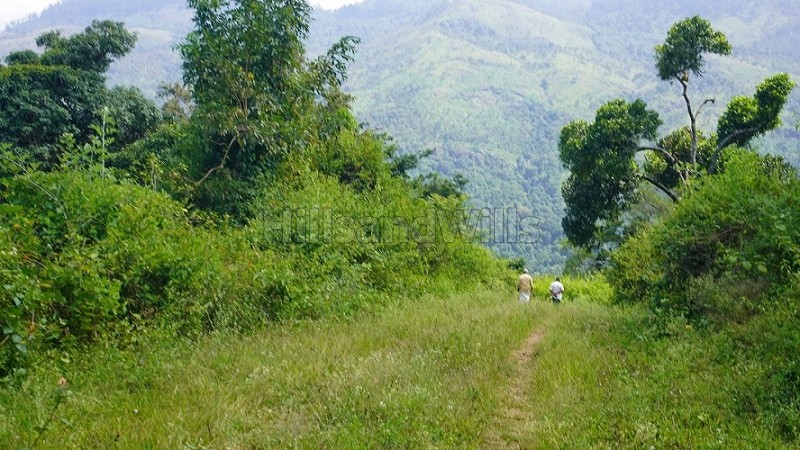 ₹2.24 Cr&nbsp;|&nbsp;7 acres agriculture land for sale  in vadakavunji kodaikanal