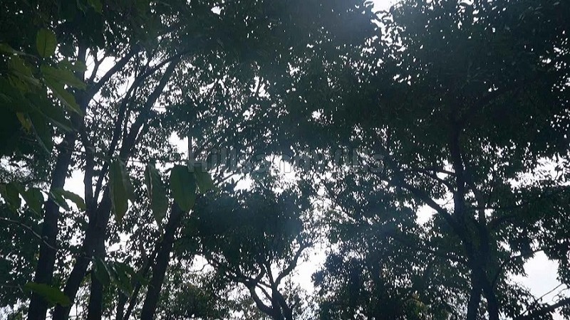 ₹1.10 Cr&nbsp;|&nbsp;6 acres agriculture land for sale  in vadakavunji kodaikanal