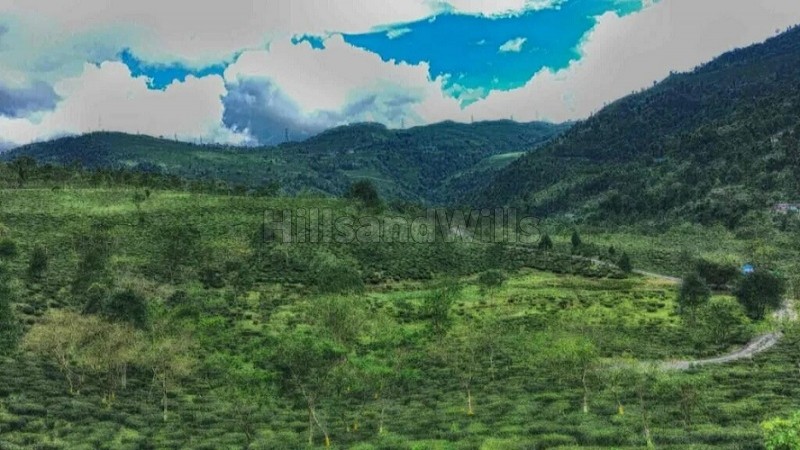 ₹75 Lac&nbsp;|&nbsp;20 decimal residential plot for sale  in bunkulung darjeeling