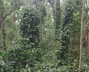 30 acres agriculture land for sale  in gonikoppa coorg