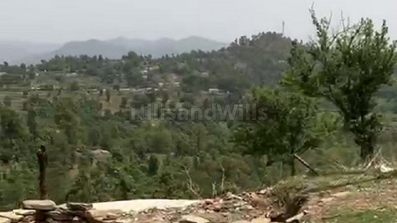 ₹4.50 Cr&nbsp;|&nbsp;40 nali agriculture land for sale  in almora near nainital