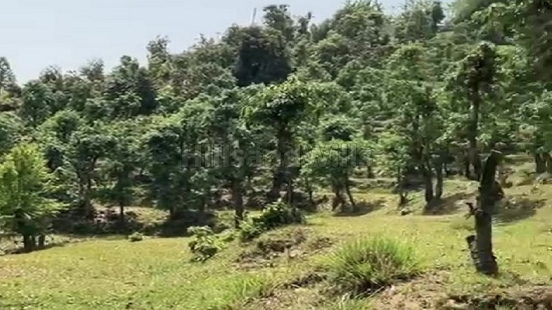 ₹4.50 Cr&nbsp;|&nbsp;40 nali agriculture land for sale  in almora near nainital