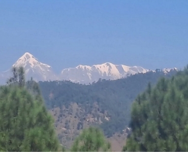 240 gaj residential plot for sale  near kosi market, almora district uttarakhand
