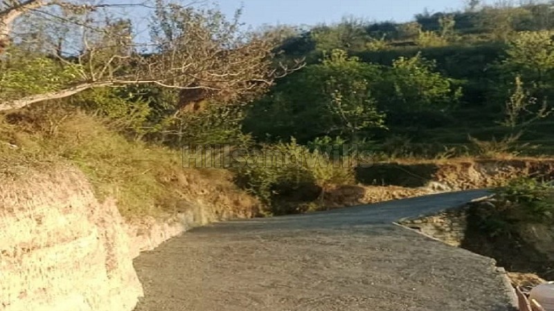 ₹8 Lac | 240 gaj residential plot for sale near kosi market, almora district uttarakhand