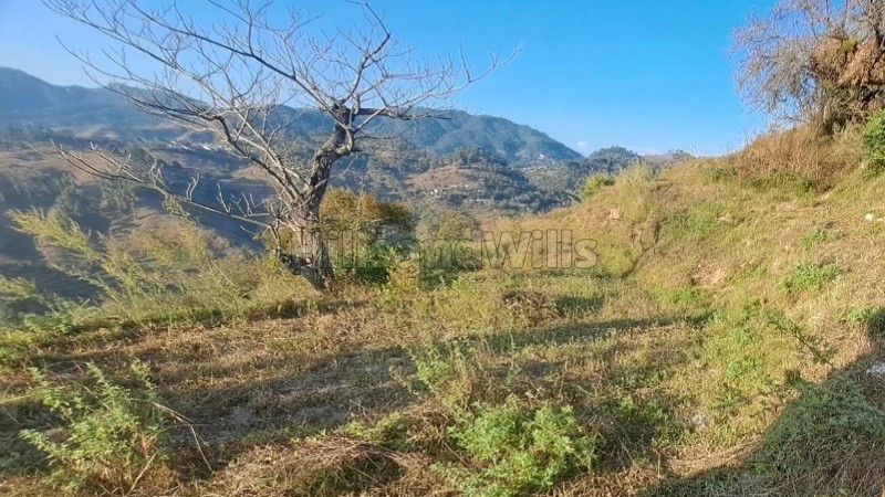 ₹8 Lac | 240 gaj residential plot for sale near kosi market, almora district uttarakhand