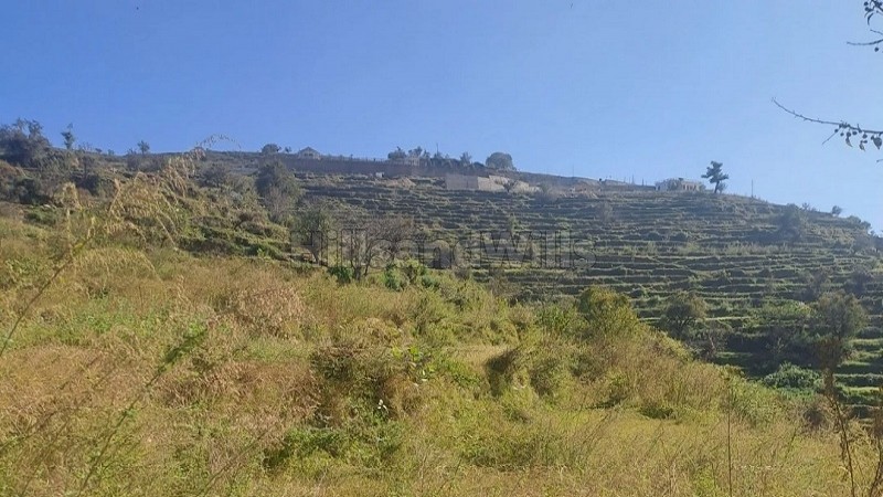 ₹8 Lac | 240 gaj residential plot for sale near kosi market, almora district uttarakhand