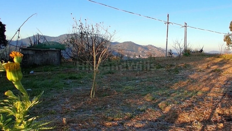 ₹96 Lac | 400 sq.meter residential plot for sale in mukteshwar nainital