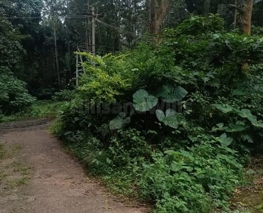 4800 sq.ft. residential plot for sale  in pattipadi yercaud