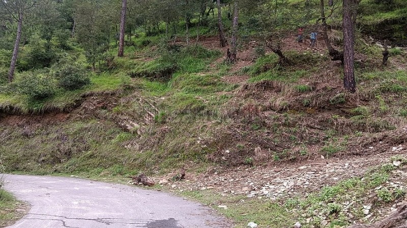 ₹1.25 Cr&nbsp;|&nbsp;1000 sq.meter residential plot for sale  in nathuakhan, mukteshwar nainital