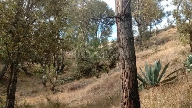 ₹1.25 Cr&nbsp;|&nbsp;1000 sq.meter residential plot for sale  in nathuakhan, mukteshwar nainital