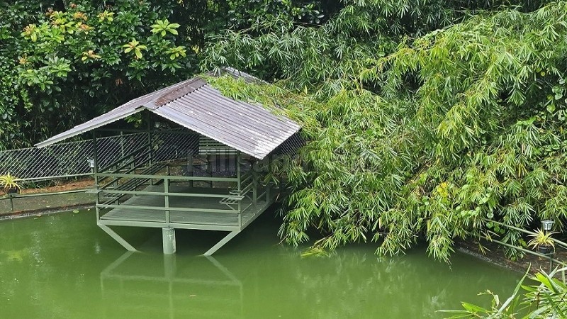 ₹6.50 Cr | 7400 sq. ft resort for sale in vythiri wayanad along with 1.6 acres land