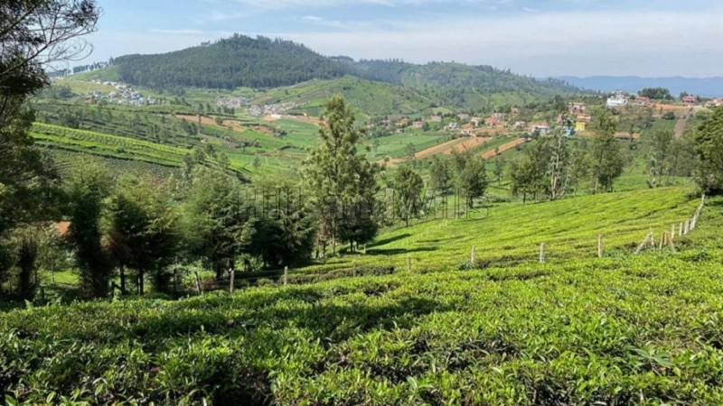 ₹55 Lac&nbsp;|&nbsp;22 cents agriculture land for sale  in balacola ooty