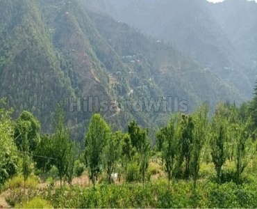 10 bigha agriculture land for lease  in mashobra shimla