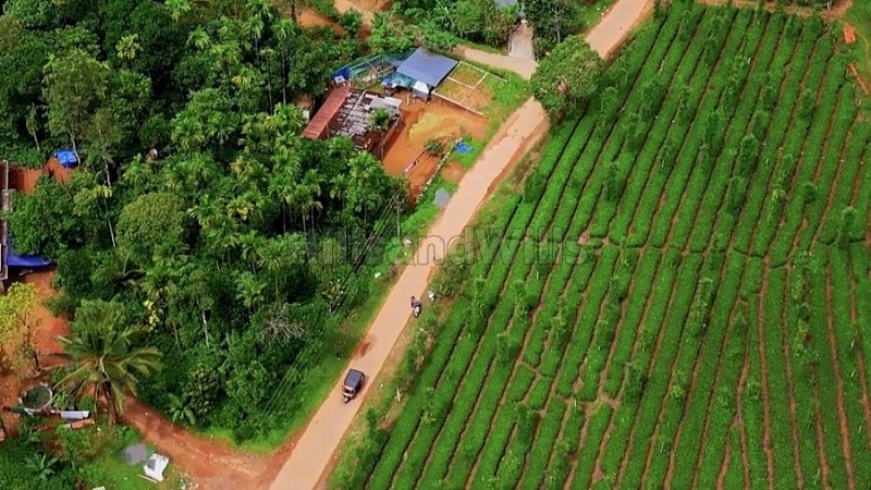 ₹1.10 Cr&nbsp;|&nbsp;85 cents residential plot for sale  in manthavady wayanad