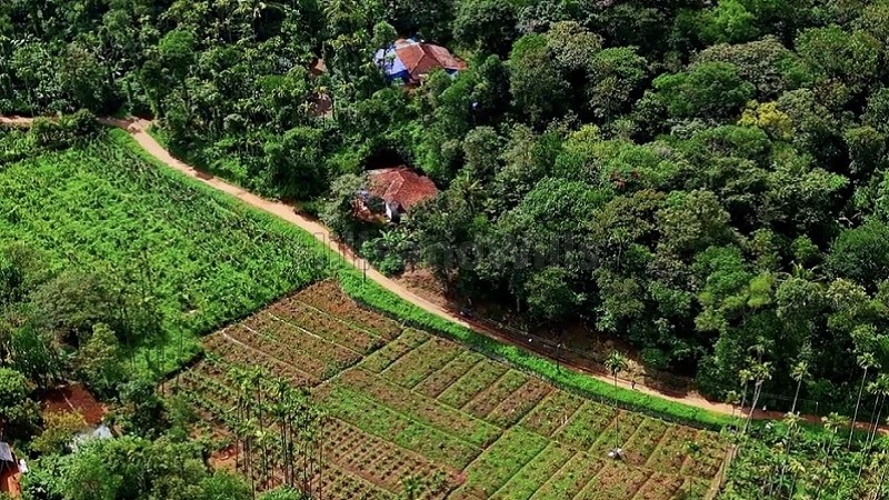 ₹1.10 Cr&nbsp;|&nbsp;85 cents residential plot for sale  in manthavady wayanad