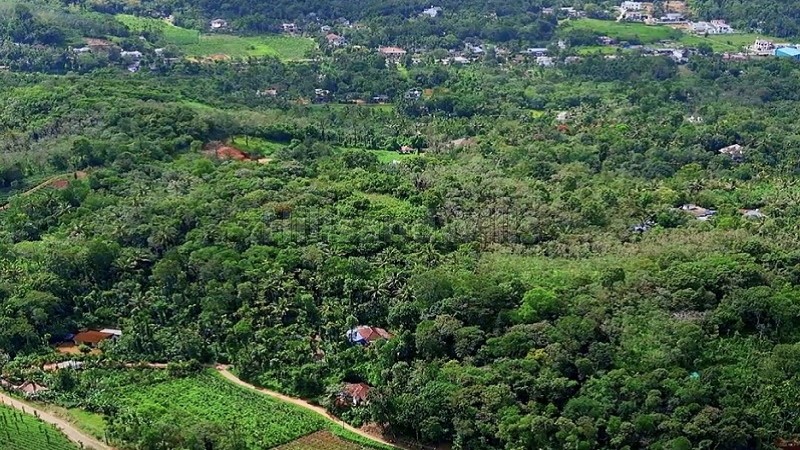 ₹1.10 Cr&nbsp;|&nbsp;85 cents residential plot for sale  in manthavady wayanad
