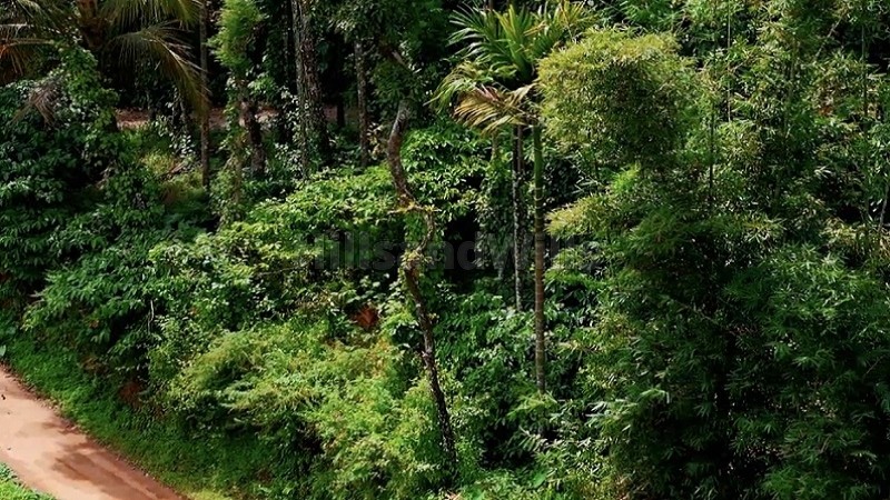 ₹1.10 Cr&nbsp;|&nbsp;85 cents residential plot for sale  in manthavady wayanad