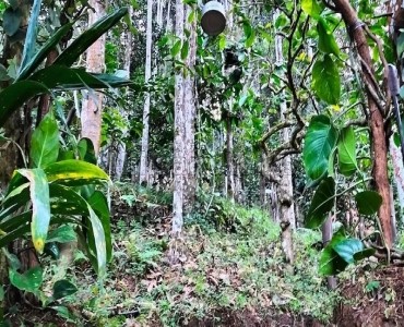 47 cents residential plot for sale  in meppadi, thanjilode wayanad