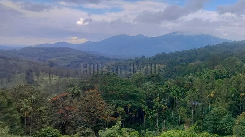 ₹40 Lac&nbsp;|&nbsp;53 cents residential plot for sale  in chunda wayanad