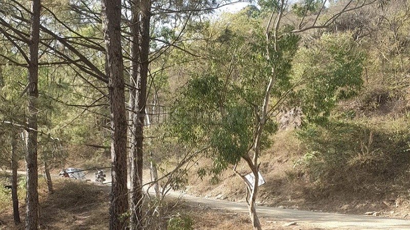 ₹1.90 Cr&nbsp;|&nbsp;2.14 biswa agriculture land for sale  in banalgi solan