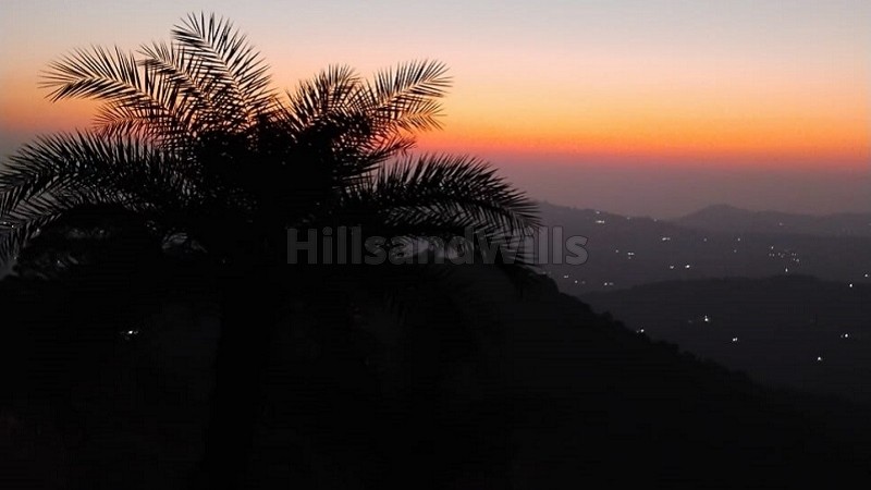 12 bigha agriculture land for sale  in kasauli hills solan