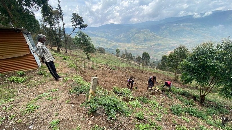 ₹50 Lac&nbsp;|&nbsp;1bhk  european style cottage for sale  in mannavanur kodaikanal