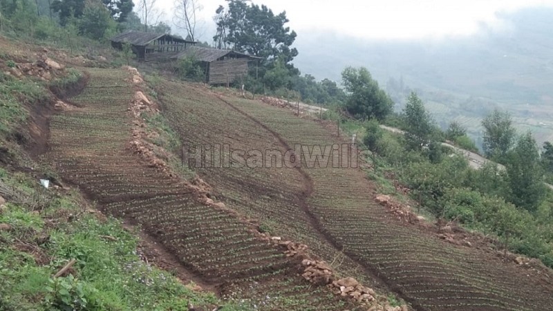 ₹50 Lac&nbsp;|&nbsp;1bhk  european style cottage for sale  in mannavanur kodaikanal