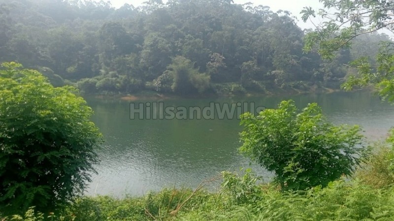 ₹1.04 Cr | 72 cents agriculture land for sale in padinjrathara wayanad