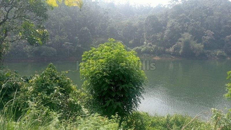 ₹1.04 Cr | 72 cents agriculture land for sale in padinjrathara wayanad
