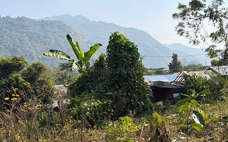 20 decimal residential plot for sale  in mirik bunkulung near darjeeling