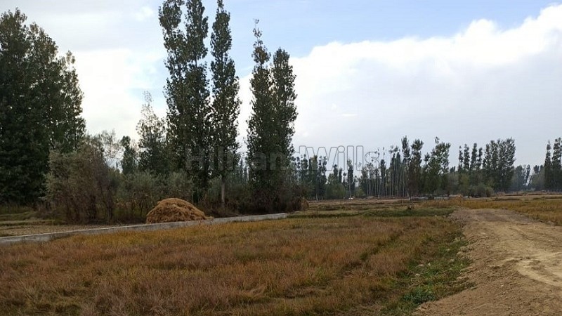 ₹35 Lac | 10 marla residential plot for sale in narbal kawoosa srinagar