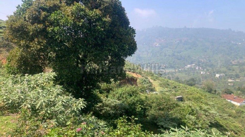 ₹2.50 Cr&nbsp;|&nbsp;50 cents commerical land for sale  in aravenu to kesalada kotagiri